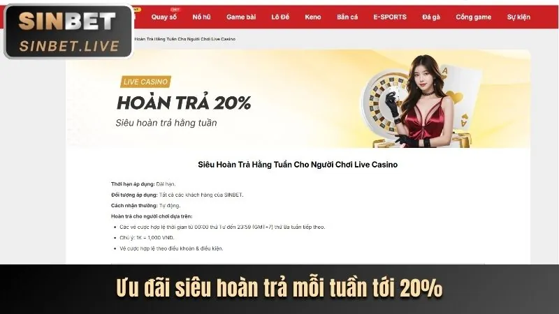 Cá Cược Thể Thao Mùa Giải 2026